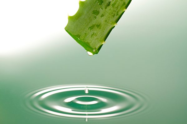 Gel Drop Dropping From Aloe Vera Leaf
