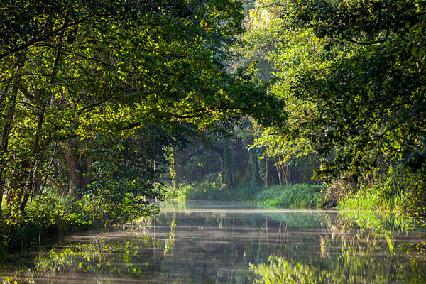 Herbstmorgen im Spreewald