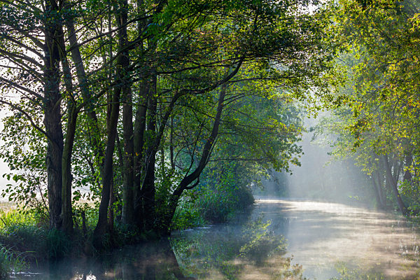 Herbstmorgen im Spreewald