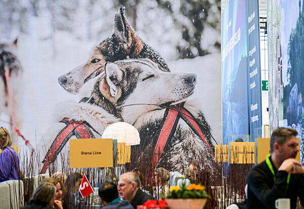 Husky, Schweden, Hallenstand auf der ITB 2026. Internationale-Tourismus-Börse, Messegelände, Charlottenburg, Berlin, Deutschland