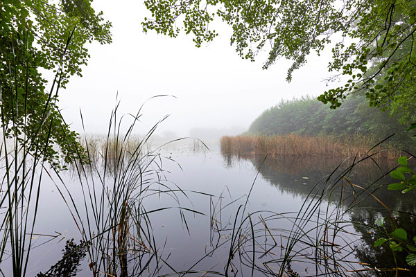 Autumn in Brandenburg