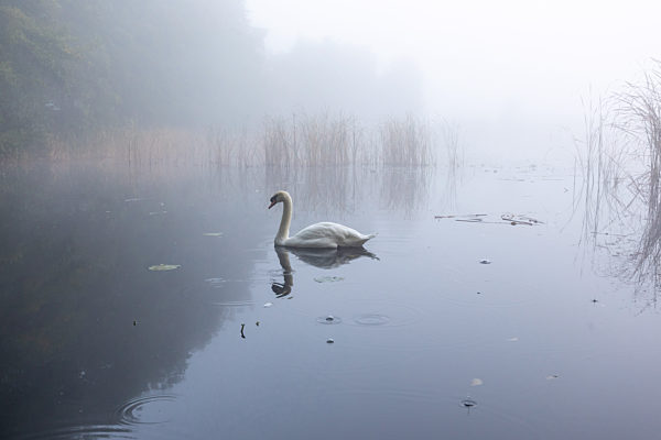 Autumn in Brandenburg