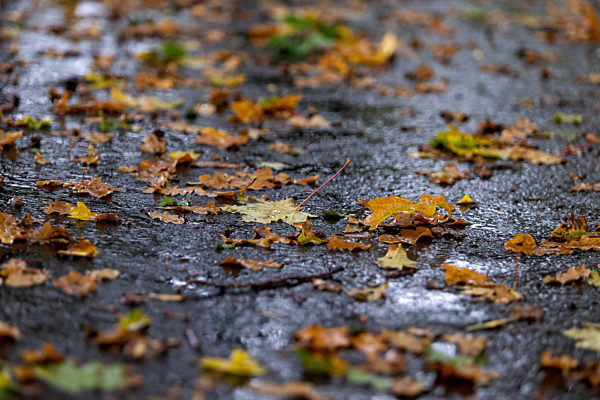 Symbolfoto Regenwetter im Herbst
