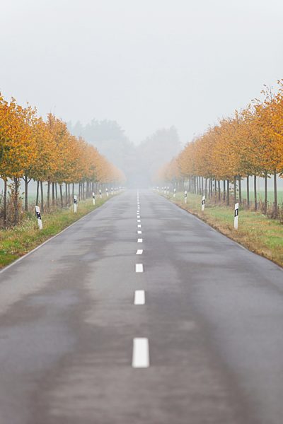 Alley in Brandenburg