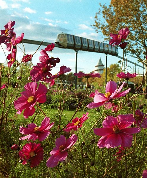 Buga Magdeburg in herbstlichen Farben