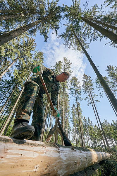 Bundeswehr im Forsteinsatz gegen Borkenkäfer