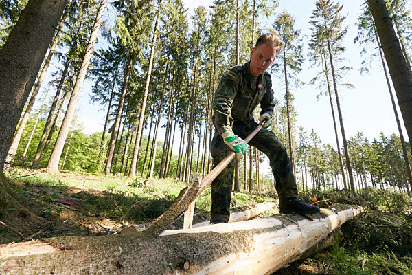 Bundeswehr im Forsteinsatz gegen Borkenkäfer