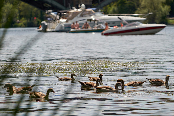 Sommerwetter an der Mosel