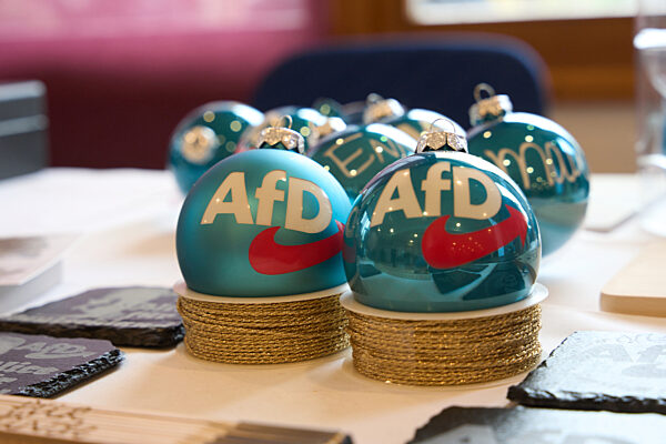 Parteitag AfD Rheinland-Pfalz