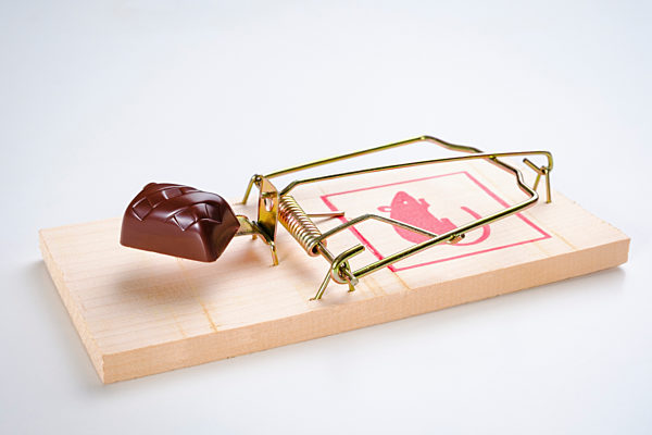 Chocolate on mousetrap