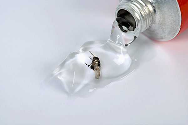 A fly in the ointment