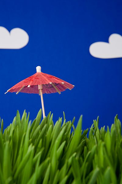 A cocktail umbrella in grass
