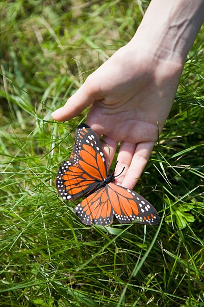 A hand holding an artificial Monarch Butterfly