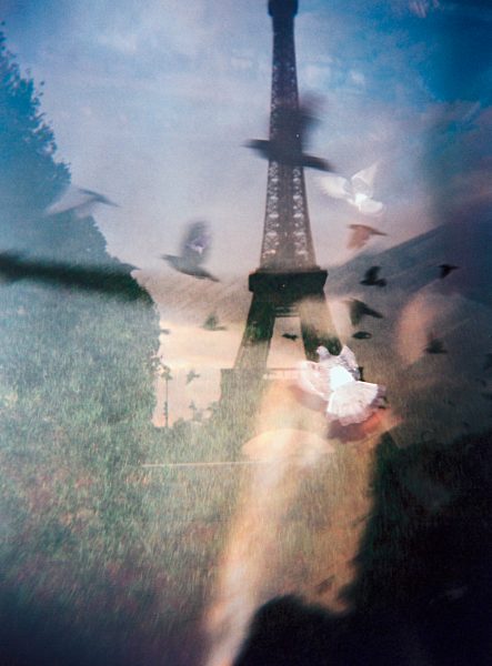 Paris, France pigeons flying in front of the Eifel Tower