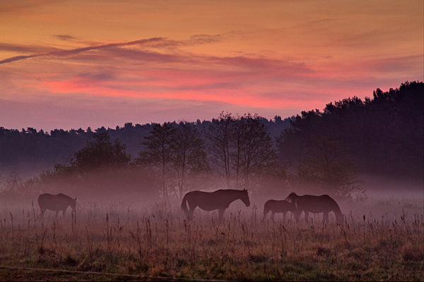 Heimat Deutschland - Havelland