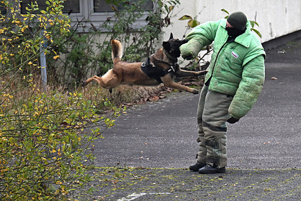 Ausbildung für ukrainische Hundeführer und Diensthunde
