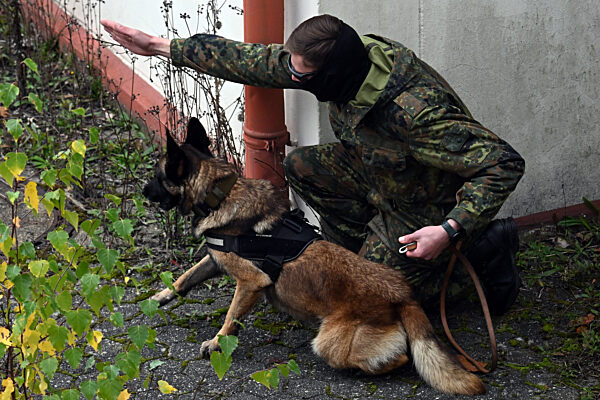 Ausbildung für ukrainische Hundeführer und Diensthunde