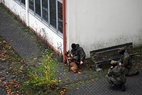 Ausbildung für ukrainische Hundeführer und Diensthunde