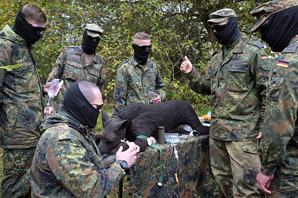 Ausbildung für ukrainische Hundeführer und Diensthunde