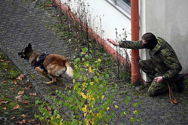 Ausbildung für ukrainische Hundeführer und Diensthunde