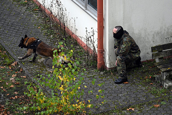Ausbildung für ukrainische Hundeführer und Diensthunde