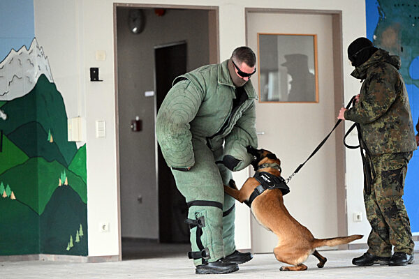 Ausbildung für ukrainische Hundeführer und Diensthunde