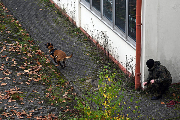 Ausbildung für ukrainische Hundeführer und Diensthunde