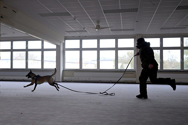 Ausbildung für ukrainische Hundeführer und Diensthunde
