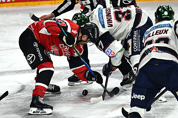 Kölner Haie - Eisbären Berlin