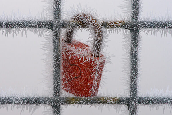 Nebel mit Raureif in Magdeburg