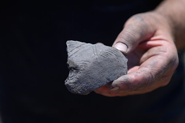 Brunnenfunde belegen Steinzeit-Besiedelung in Belkau