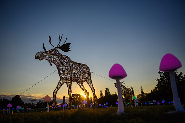 Lichterwelt "Lumagica" eröffnet