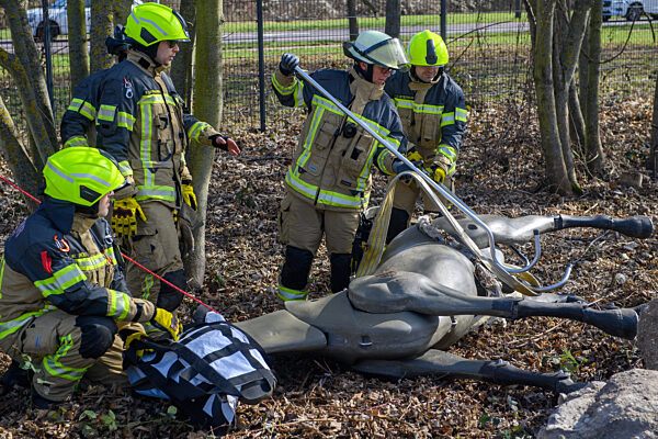 Berufsfeuerwehr Magdeburg trainiert Großtier-Rettung