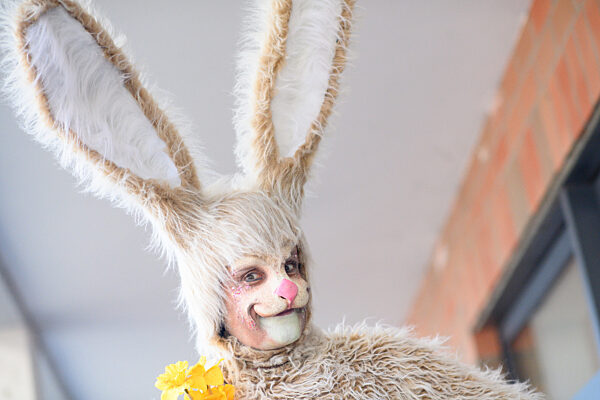 Osterhase von "Los Lachos"