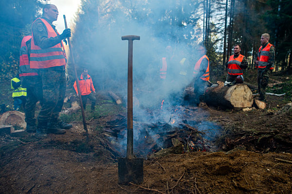 Ende des Bundeswehr-Einsatzes gegen den Borkenkäfer