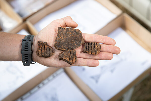 Ausgrabungen in 5000 Jahre alter Moorsiedlung Hunte 1