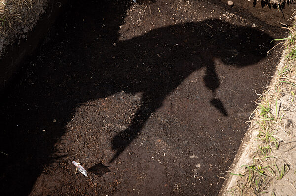 Ausgrabungen in 5000 Jahre alter Moorsiedlung Hunte 1