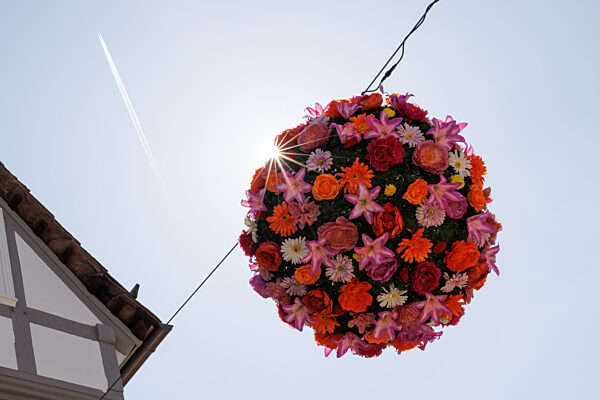 Vor Eröffnung der Landesgartenschau in Höxter