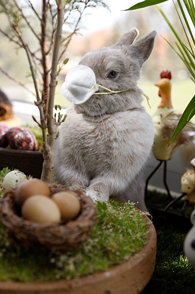 Symbolfoto Ostern