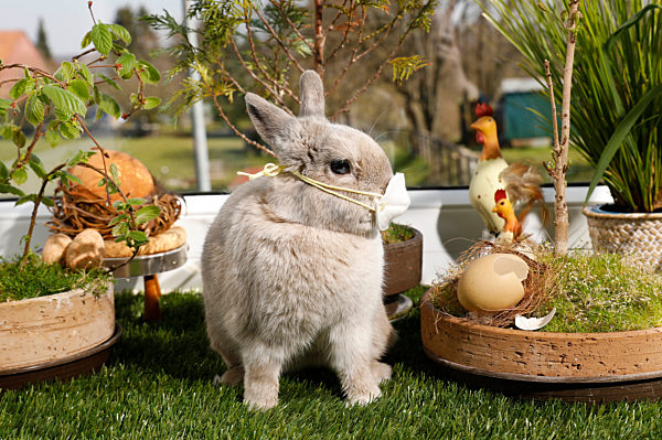 Symbolfoto Ostern