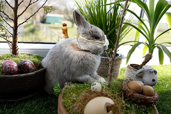 Symbolfoto Ostern