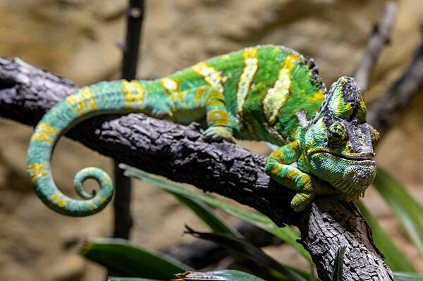 Inventur im Thüringer Zoopark Erfurt