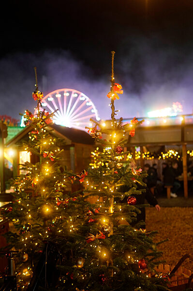 Weihnachtsmarkt 'Winterzauber' in Berlin