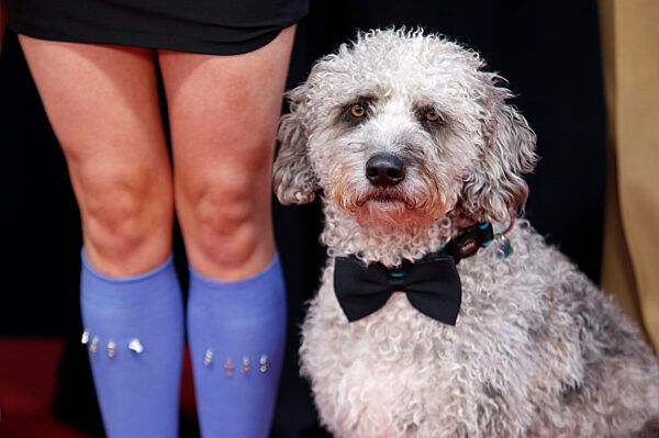 Filmpremiere 'Babystar', Filmfest Hamburg 2025