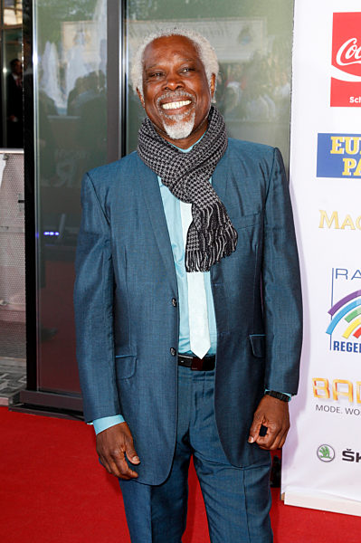 Radio Regenbogen Award 2015, Rust