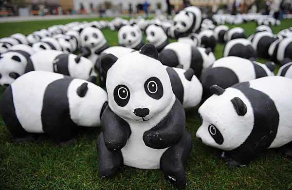 Pandabären in München