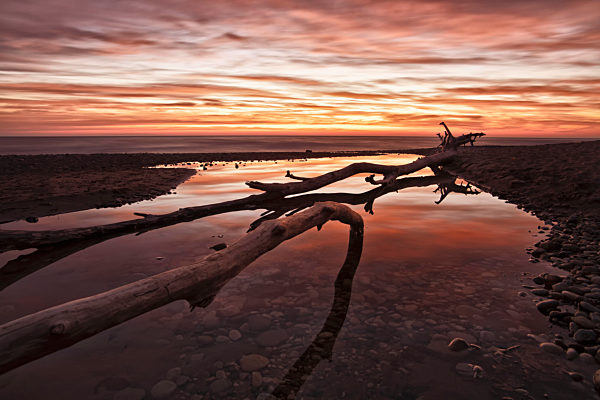 Some Fallen Trees In A Tiny Stream Leading Into Lake Michigan; Wisconsin, United States Of America