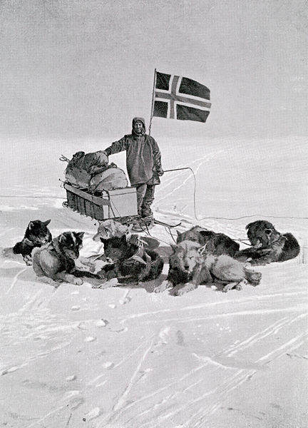 Captain Roald Engelbregt Gravning Amundsen 1872 To 1928 At The South Pole Under The Norwegian Flag Norwegian Explorer Of The Polar Regions From The Book The Year 1912 Illustrated Published London 1913