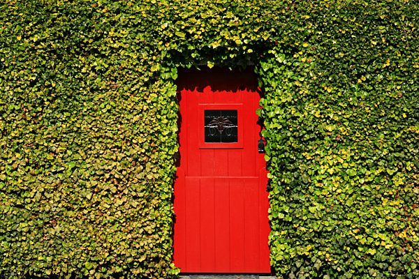 Lorrha, County Tipperary, Ireland; Traditional Irish door