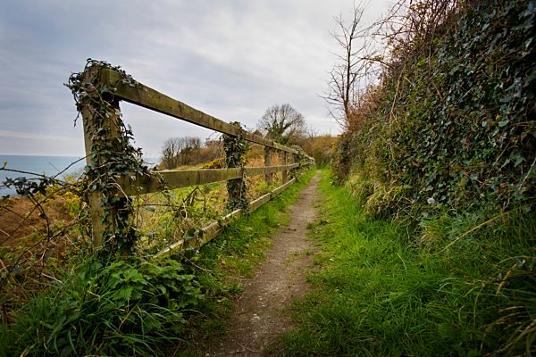 Fence along path, Ireland, Europe